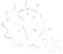Conception